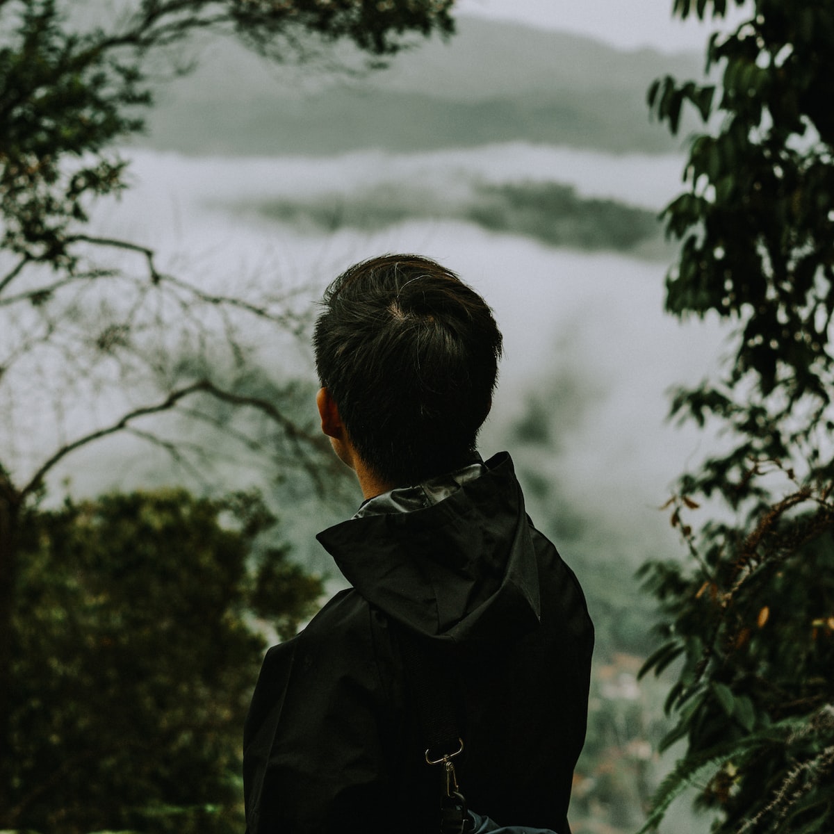 man in black jacket standing near green trees during daytime